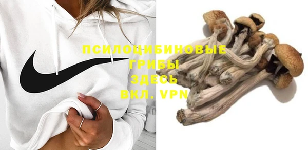 спайс Горнозаводск