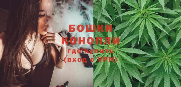 ALPHA PVP Горняк