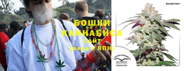 спайс Горнозаводск