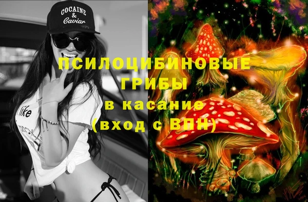спайс Горнозаводск